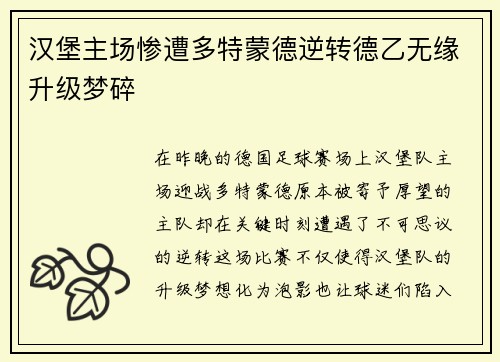 汉堡主场惨遭多特蒙德逆转德乙无缘升级梦碎
